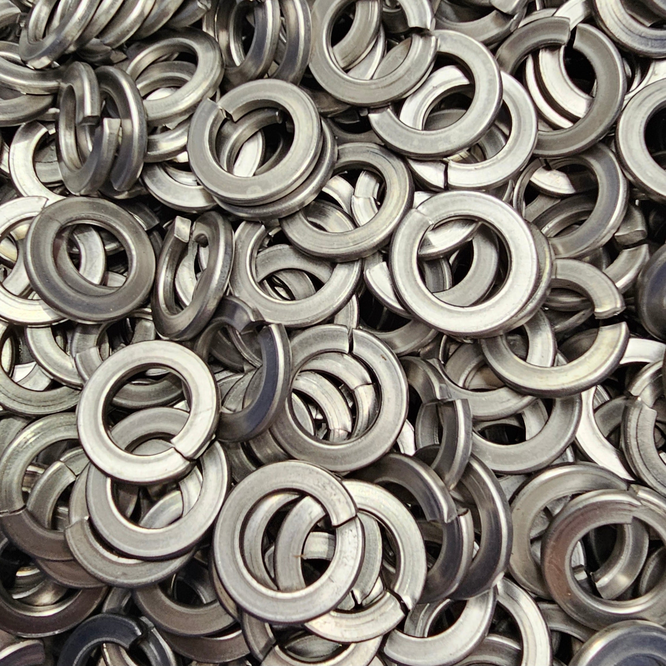 Stainless Spring Washers