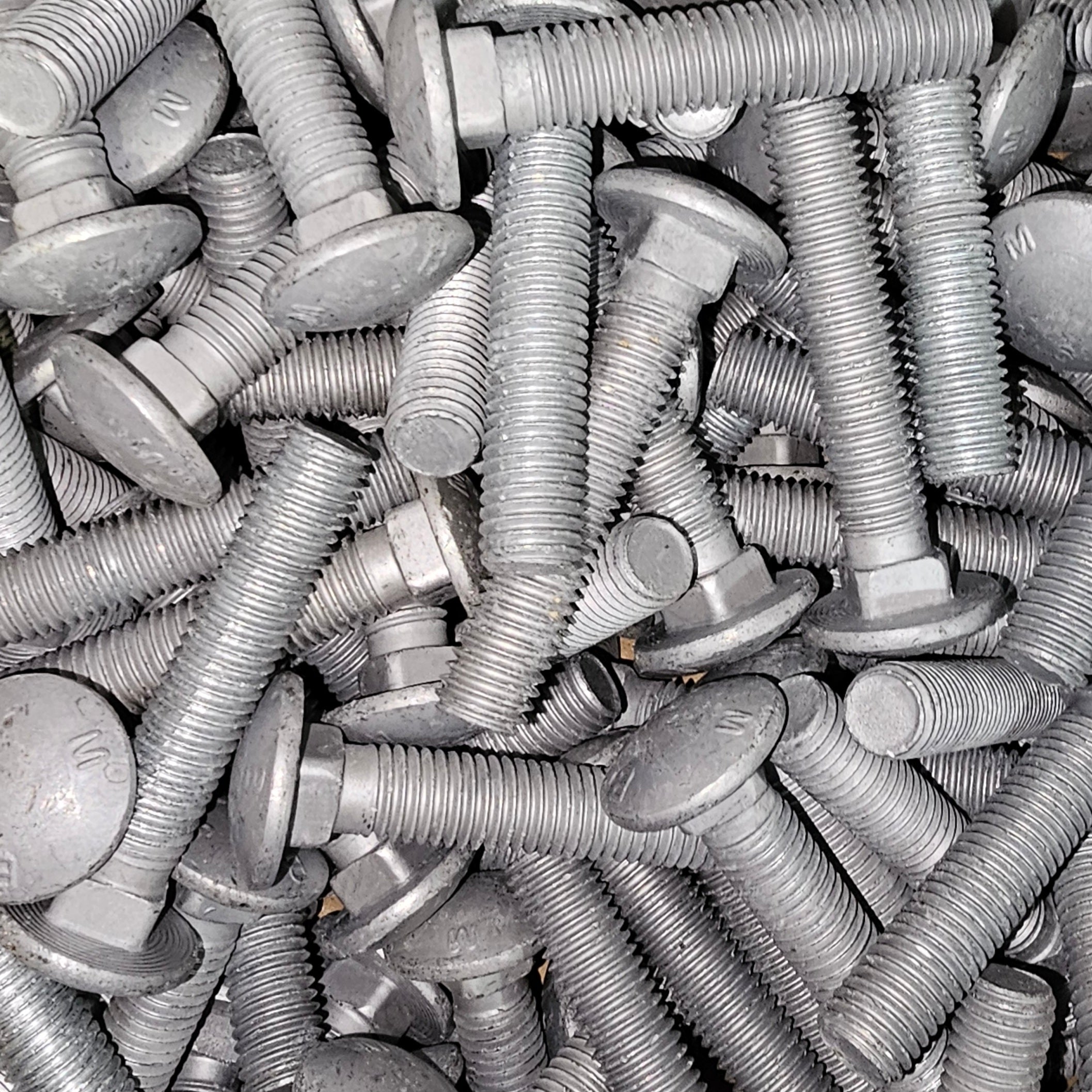 Galv Coach Bolts from Bolt Direct, showing shiny galvanized steel bolts with hex heads and threaded shanks for heavy-duty fastening.