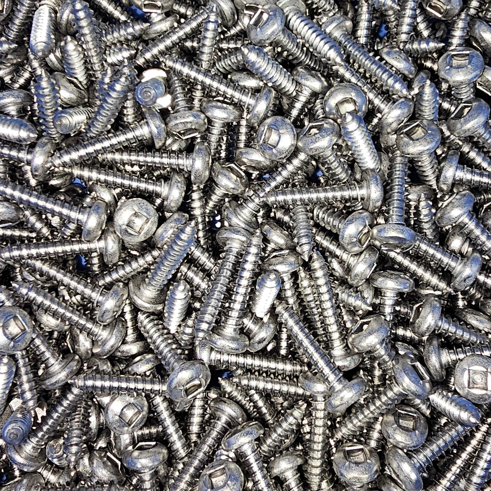 Stainless steel 8G Pan Square Self Tapping Screw from Bolt Direct, showing the screw's head and threads for metal fastening.
