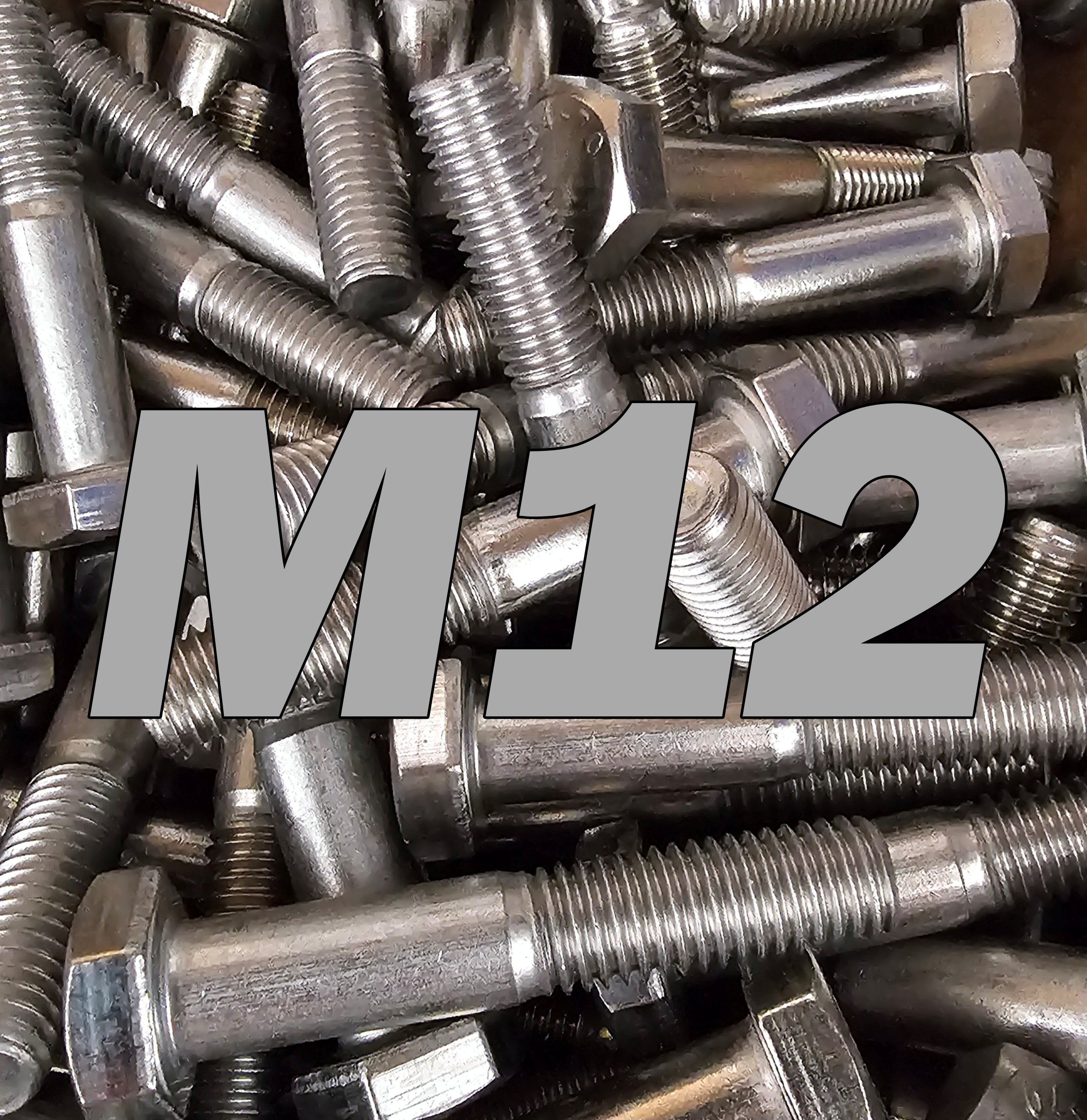 M12 Stainless Bolt
